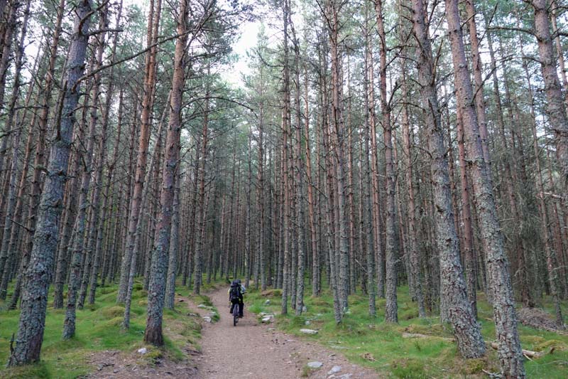 Path that follows Glen Lui
