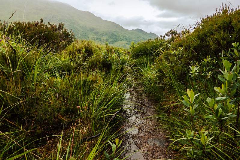 Path between Kinloch Hourn and Barrisdale. Ladhar Bheinn Luinne Bheinn Meall Buidhe - wild camping